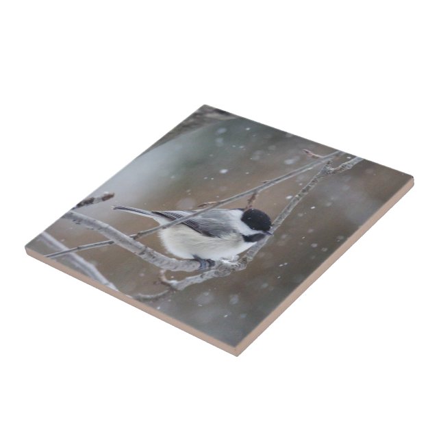 Chickadee mit schwarzer Kappe - Songbird Fliese (Seite)