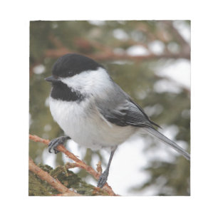 Chickadee Notizblock