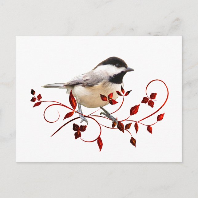 Chickadee Postkarte (Vorderseite)