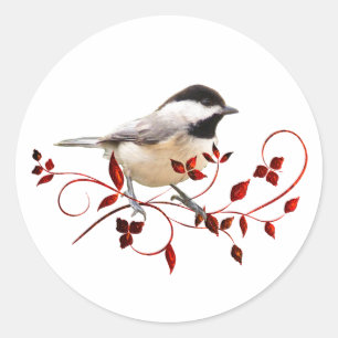 Chickadee Runder Aufkleber