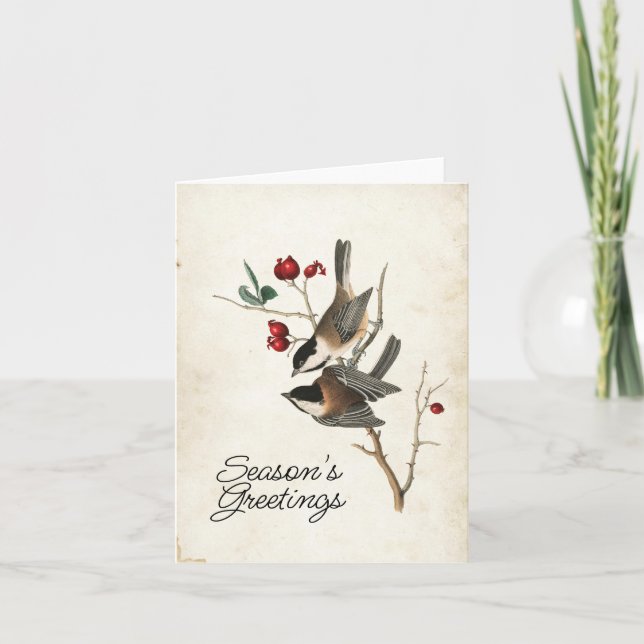 Chickadee Season's Greetings Bird Holiday Feiertagskarte (Vorderseite)