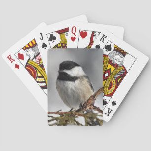 Chickadee Spielkarten