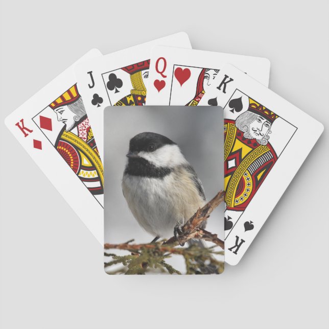 Chickadee Spielkarten (Rückseite)