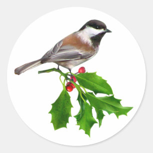 Chickadee-Stechpalmen-Aufkleber Runder Aufkleber