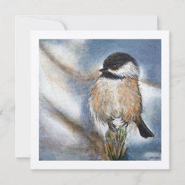 Chickadee Sweet Winter Bird