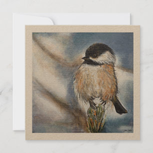 Chickadee Sweet Winter Bird