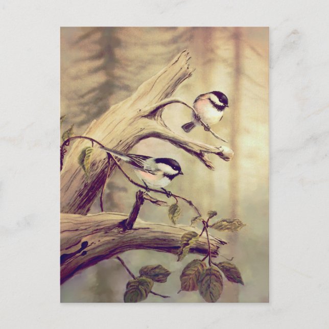 CHICKADEE über eine BRANCHE von SHARON SHARPE Postkarte (Vorderseite)