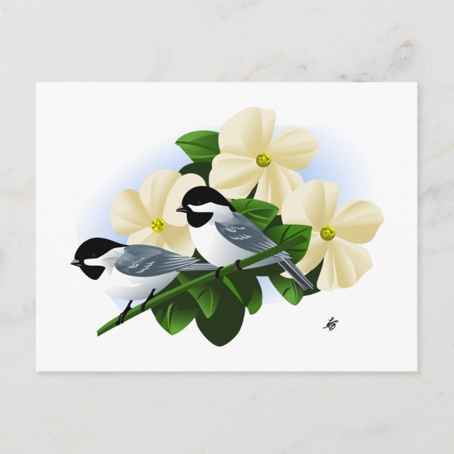 Chickadee und Dogwood-Blume Postkarte (Vorderseite)