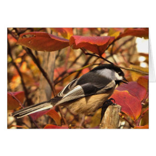 Chickadee-Vogel mit rosarotem Herbst-Blätter