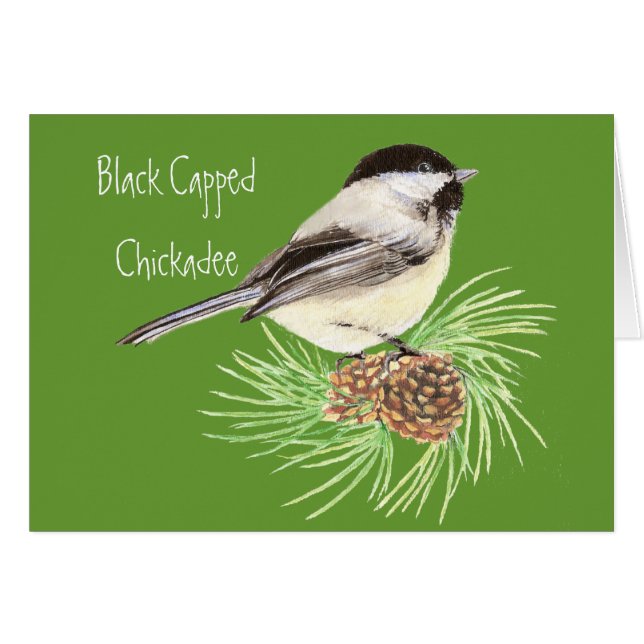 Chickadee - Vogel - Natur (Vorderseite (Horizontal))