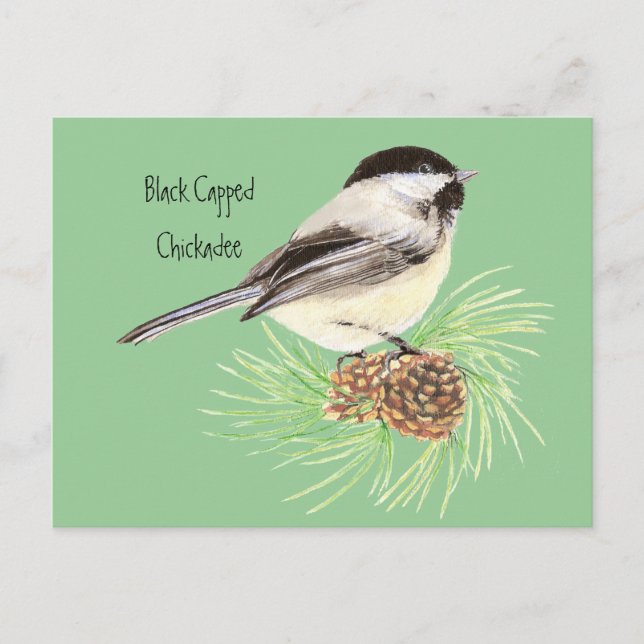 Chickadee - Vogel - Natur Postkarte (Vorderseite)
