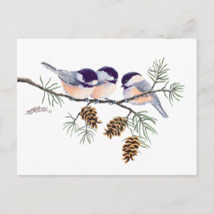 CHICKADEES & PINECONES VON SHARON SHARPE POSTKARTE
