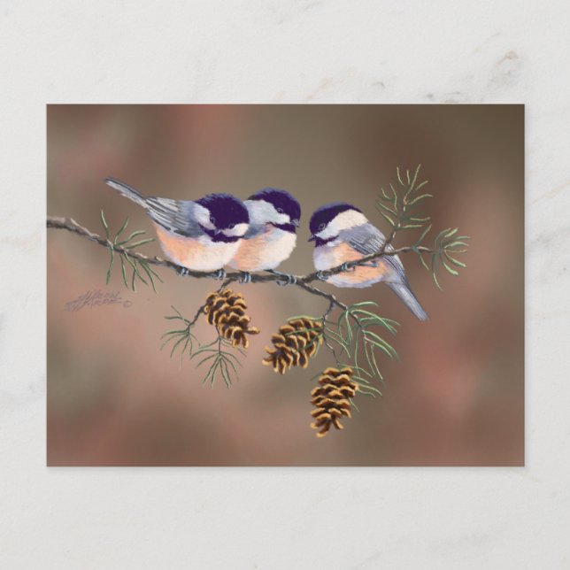 CHICKADEES & PINECONES VON SHARON SHARPE POSTKARTE (Vorderseite)