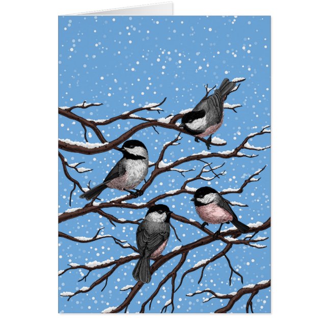 Chickadei im Winter (Vorne)