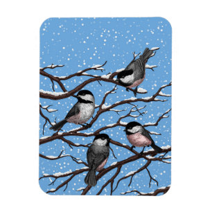 Chickadei im Winter Magnet