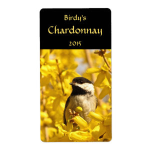 Chickadein Forsythia Blume Weinkeller