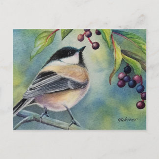 Chickadeo Bird Festival - Martha Argerich Projekt Postkarte