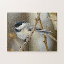 Chickadepuzzle