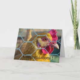 Chicken-Abschluss Karte