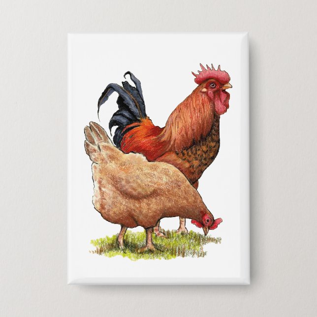 Chicken And Rooster Art, Poultry, Farm Animals Button (Vorderseite)