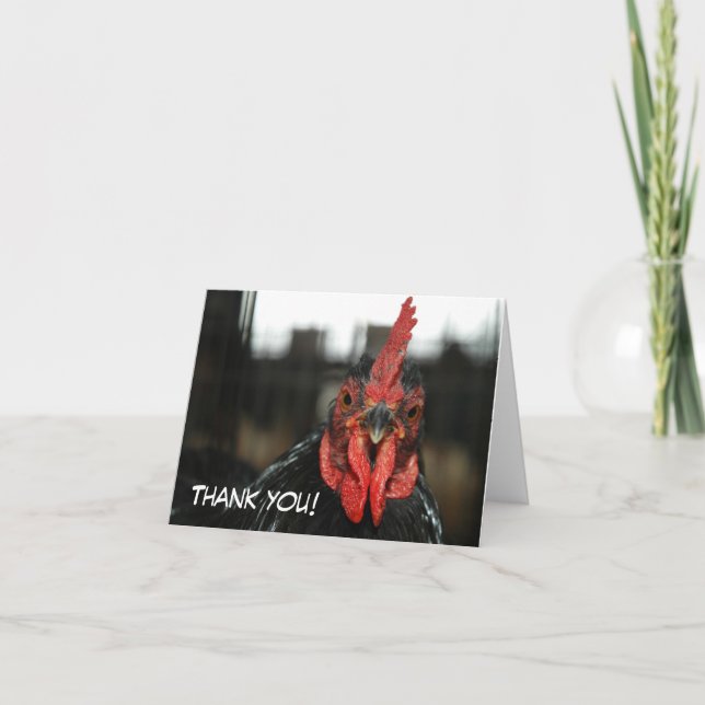 CHICKEN CARD: Danke (Vorderseite)