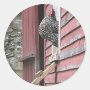Chicken Coop Runder Aufkleber