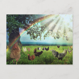 Chicken Heaven Postkarte