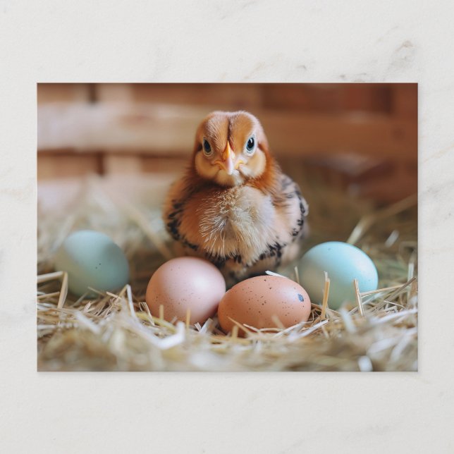 Chicken Next to Easter Nest with Colorful Eggs Postkarte (Vorderseite)