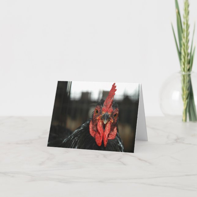 CHICKEN NOTECARD KARTE (Vorderseite)