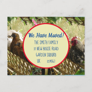 Chicken Rooster Neue Postkarte Wir ziehen