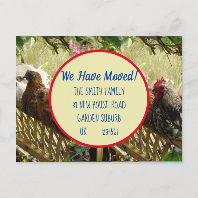 Chicken Rooster Neue Postkarte Wir ziehen (Vorderseite)
