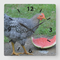 Chicken Watermelone Wall Clock