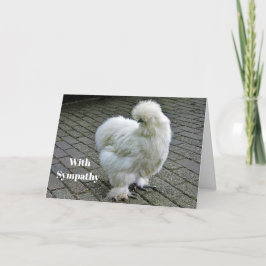 Chicken White Silkie Foto Beileid Karte
