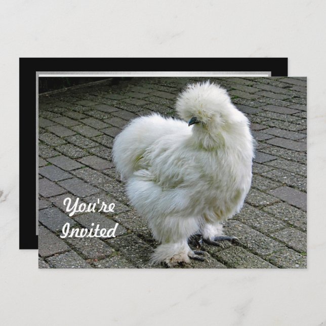 Chicken White Silkie Foto Geburtstag Einladung (Vorne/Hinten)