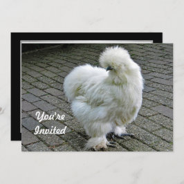Chicken White Silkie Foto Geburtstag Einladung