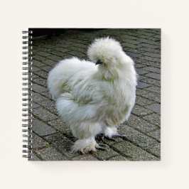 Chicken White Silkie Foto Notizbuch