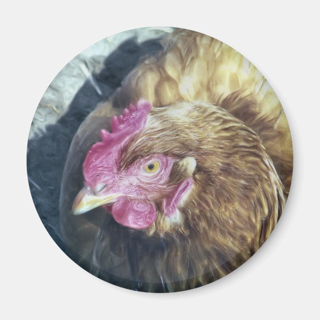 CHICKENS MAGNET (Vorne)