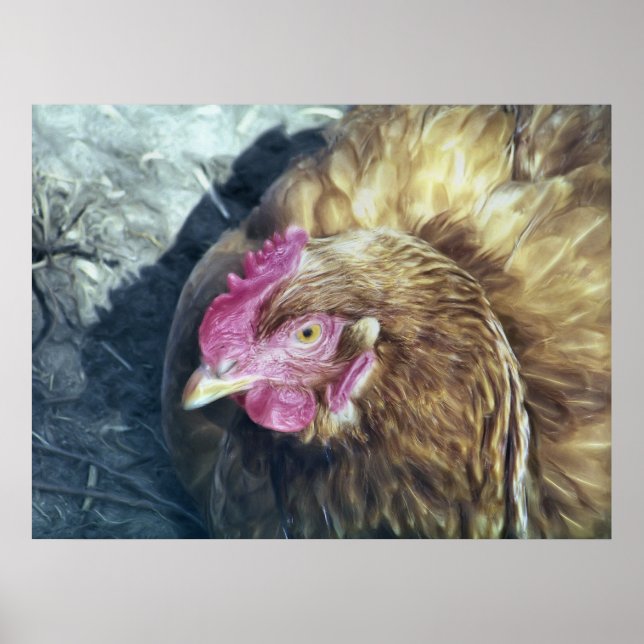 CHICKENS POSTER (Vorne)