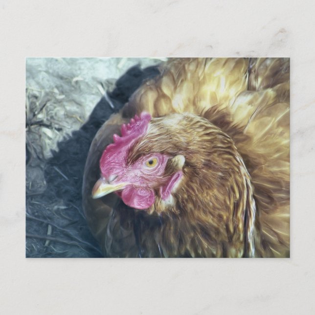 CHICKENS POSTKARTE (Vorderseite)