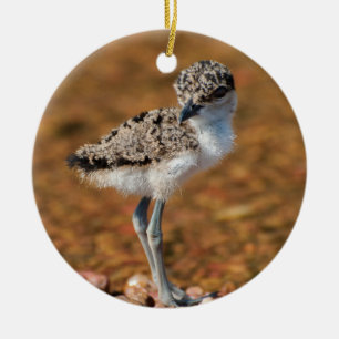 Chickling Keramik Ornament