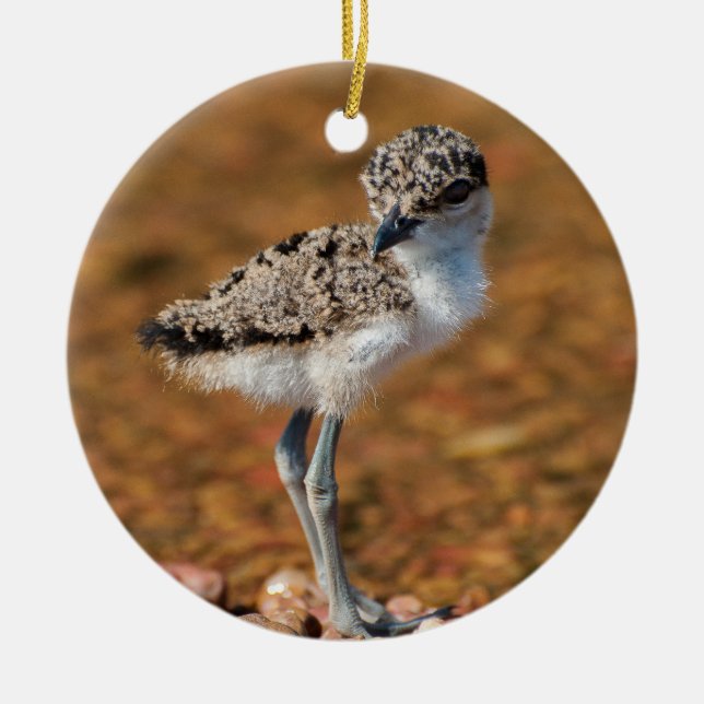 Chickling Keramik Ornament (Vorne)