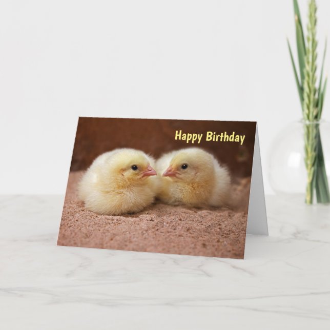 Chicks Card BIRTHDAY Karte (Vorderseite)