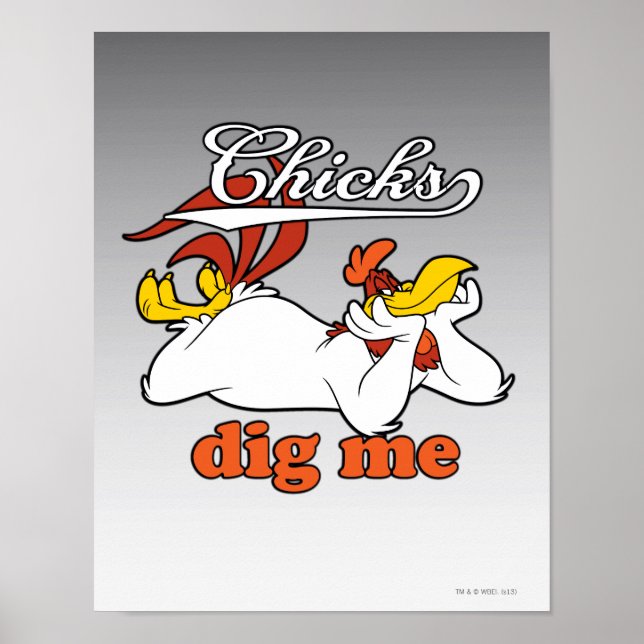 Chicks Dig Me Poster (Vorne)