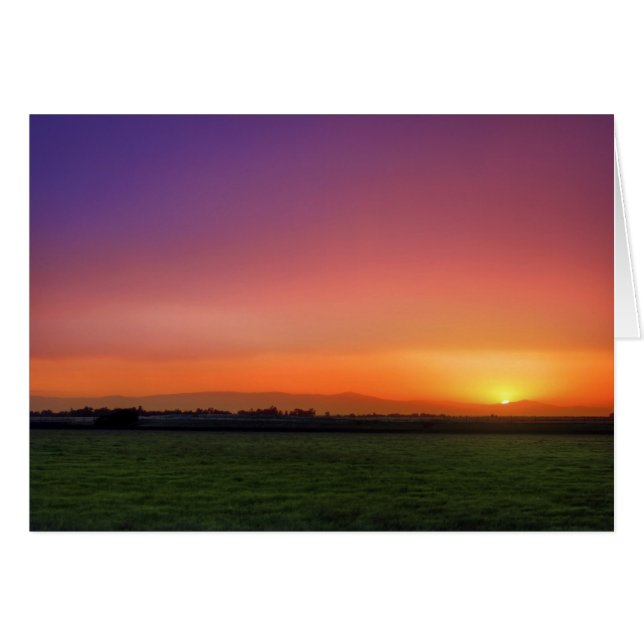 Chico (Vorderseite (Horizontal))