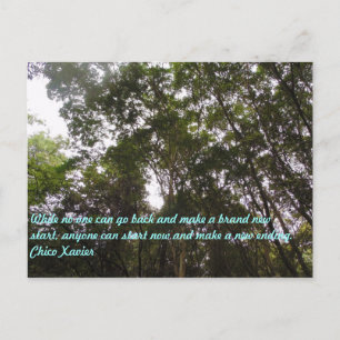 Chico Xavier Quotes Postkarte