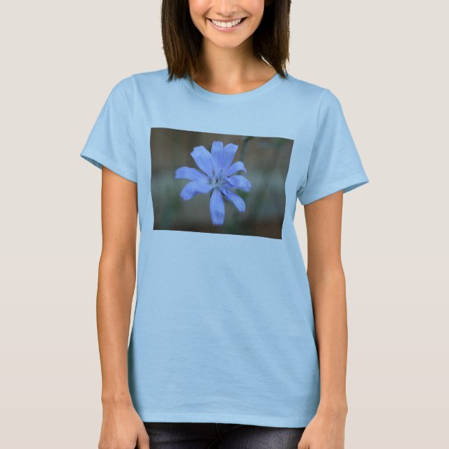 Chicorée (Cichorium intybus) T-Shirt (Vorderseite)
