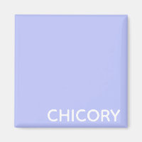 Chicoroer Blume