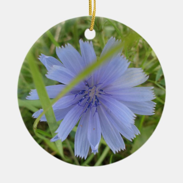 Chicory Blue Lila Blume Floral Keramik Ornament (Vorne)