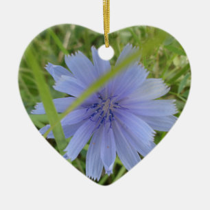 Chicory Blue Lila Blume Floral Keramikornament