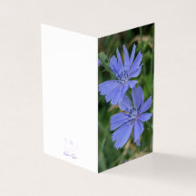 Chicory Flower Folded Note Card